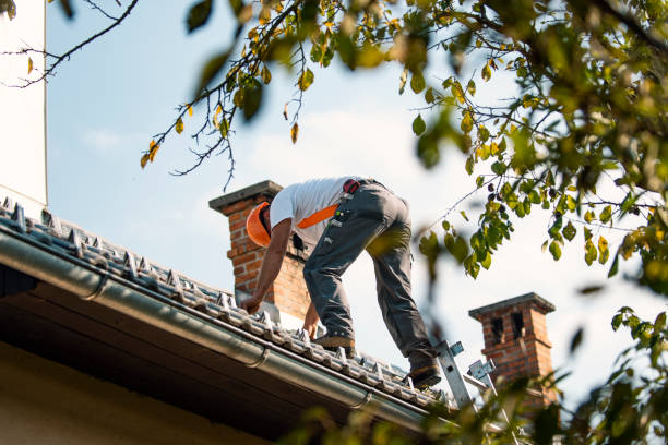 Best Flat Roof Repair Services  in Holyoke, CO