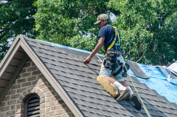 Professional Roofing Contractor in Holyoke, CO